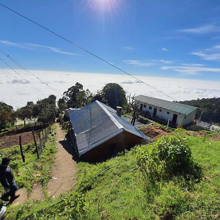 Dostel: Backpacker Hostel Кодайканал Экстерьер фото